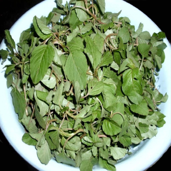 Rau dền cơm sạch, an toàn